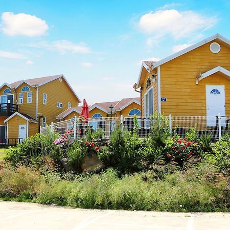 西归浦市Healing House别墅 外观 照片