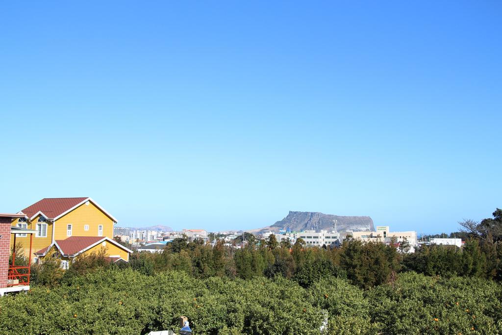 西归浦市Healing House别墅 外观 照片