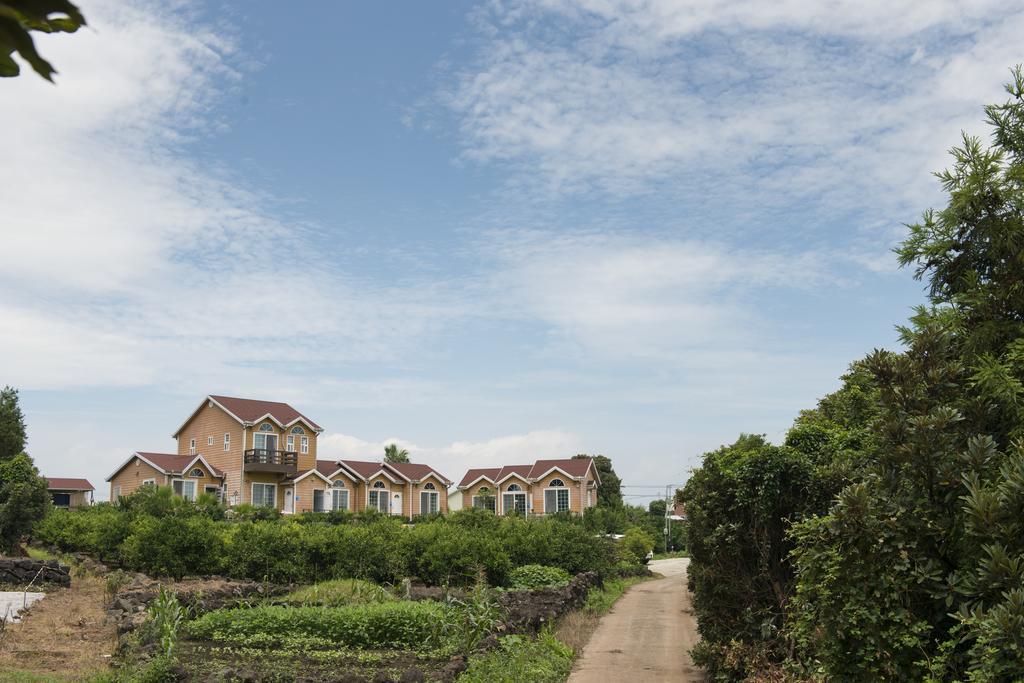西归浦市Healing House别墅 外观 照片