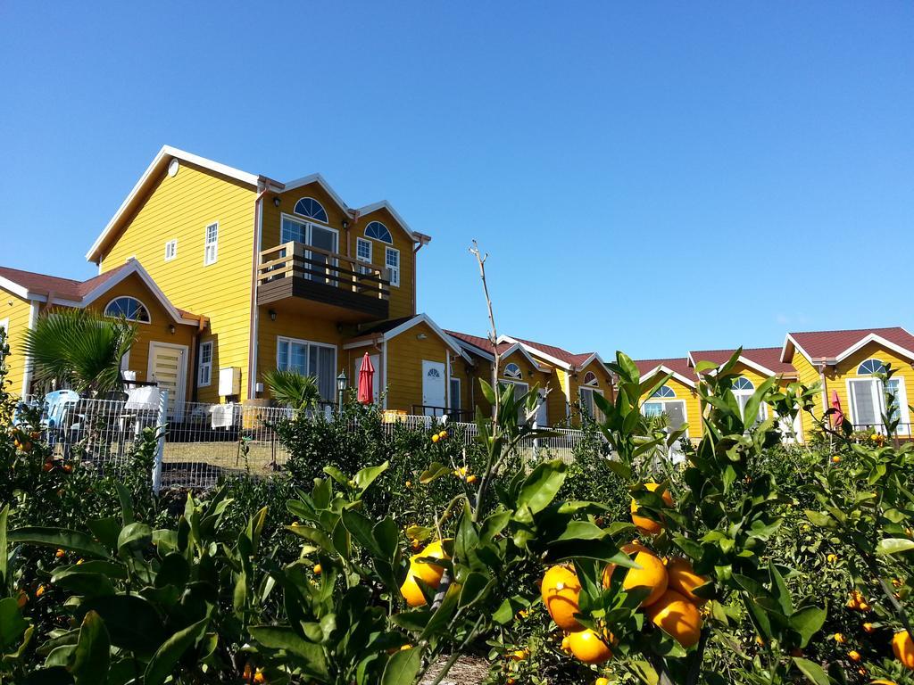 西归浦市Healing House别墅 外观 照片